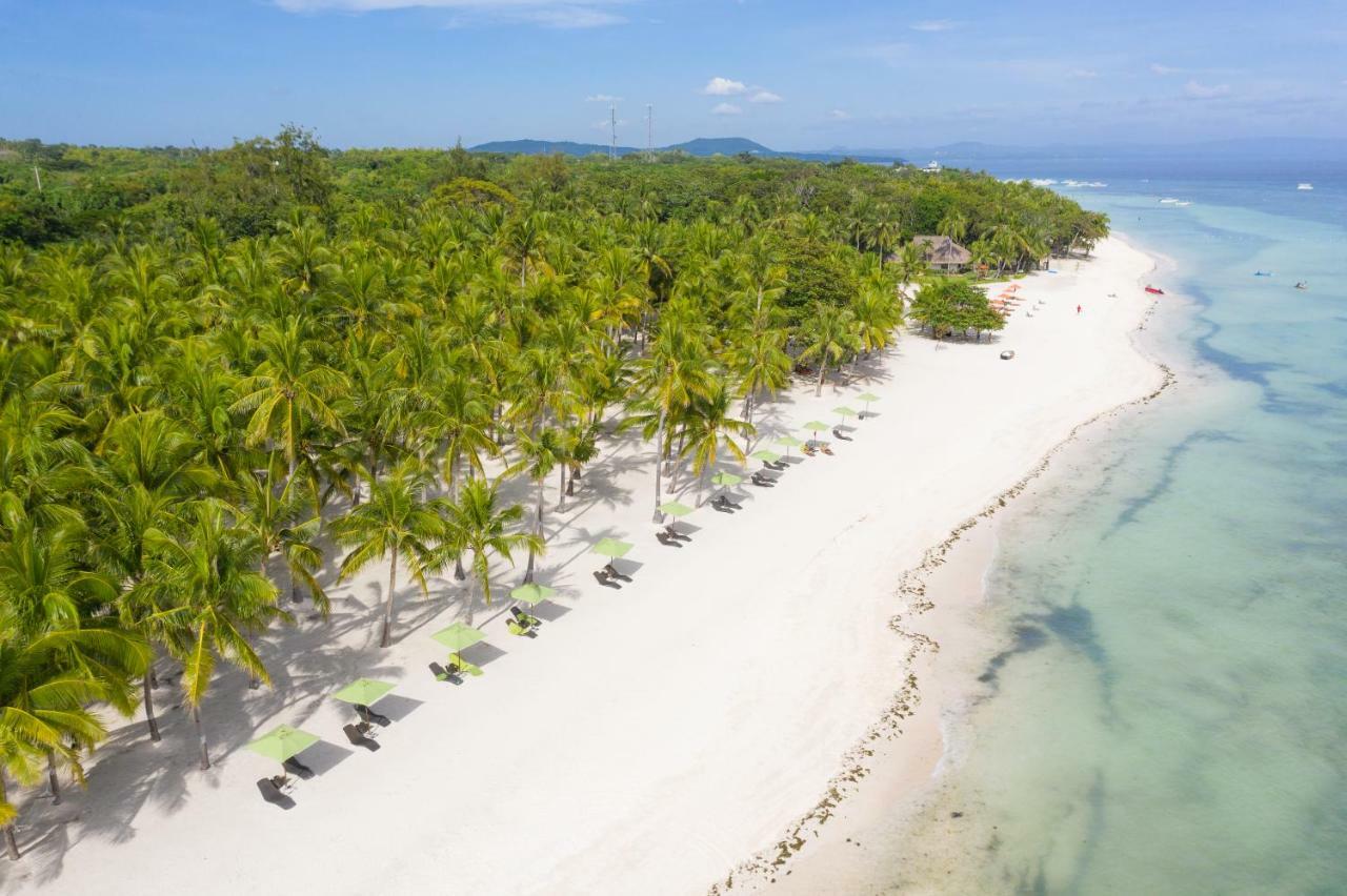 Oceanica Resort Panglao, Bohol Exterior foto Aerial view of the beach